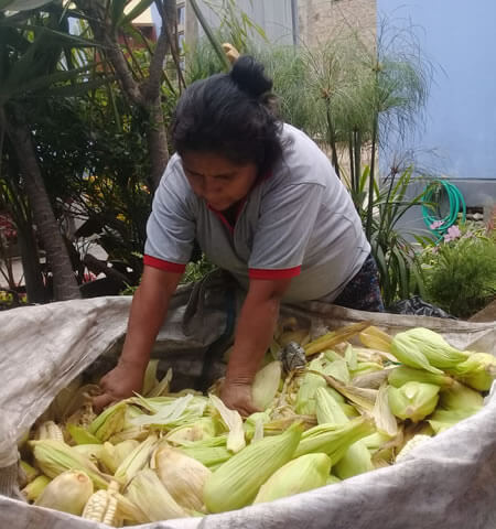 Donar Perú en Lima